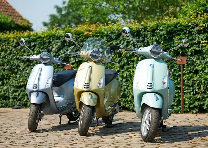 B&B Vossebergen Hombeek